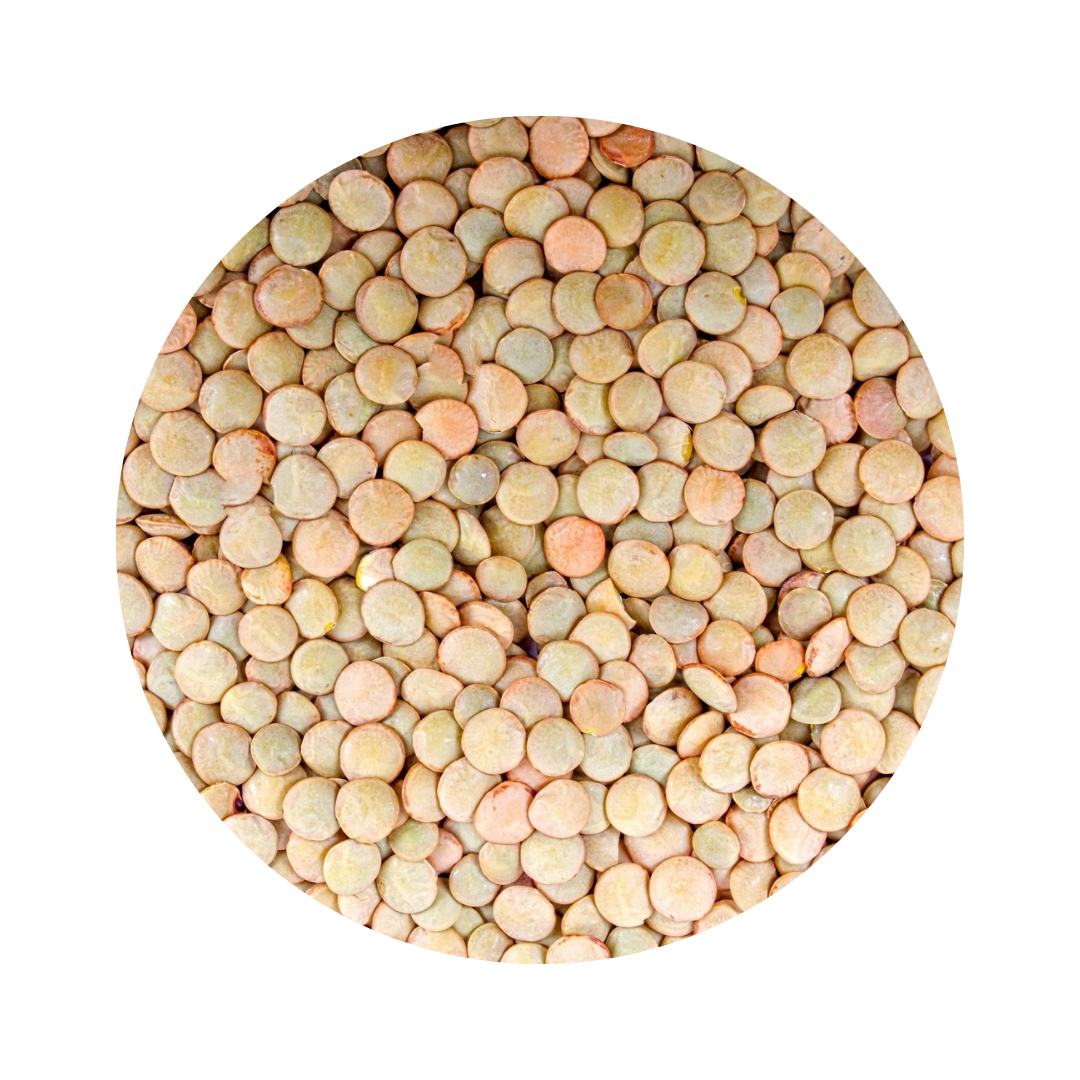 Brown Lentils 500g