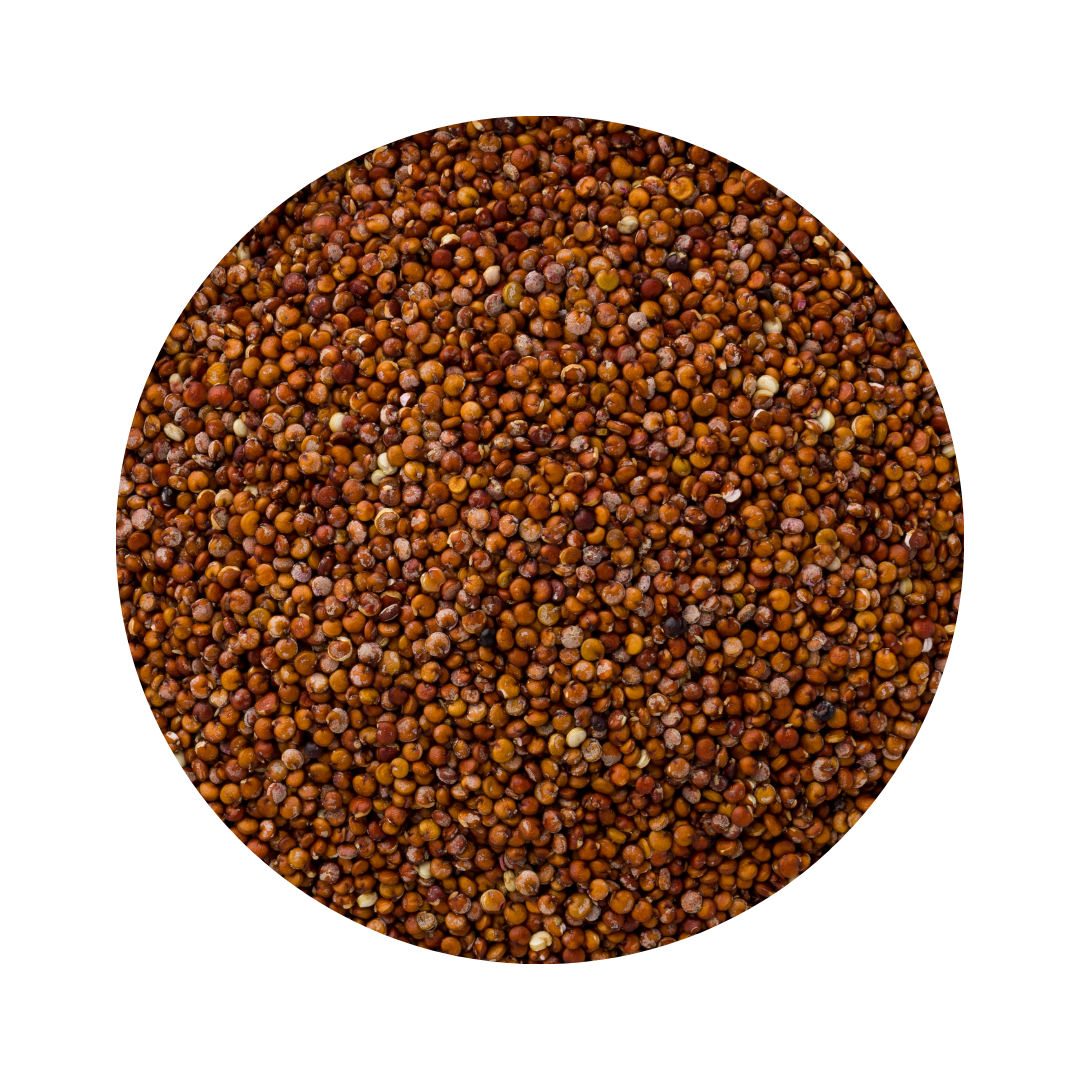 Red Quinoa 500g